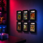 ShowCase™ Wall Display 6